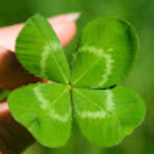 Meet your Posher, Nelly